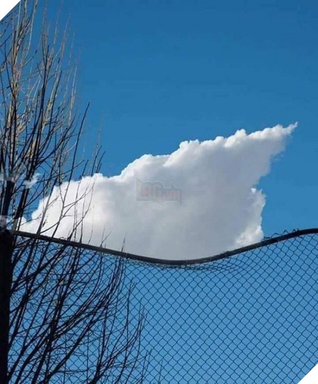 22 khoảnh khắc tình cờ trong cuộc sống khiến bạn lú lẫn không biết mình đang mơ hay tỉnh - Ảnh 33.