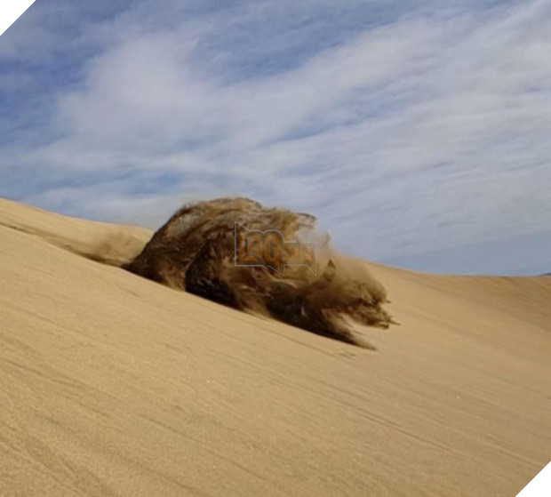 22 khoảnh khắc tình cờ trong cuộc sống khiến bạn lú lẫn không biết mình đang mơ hay tỉnh - Ảnh 39.