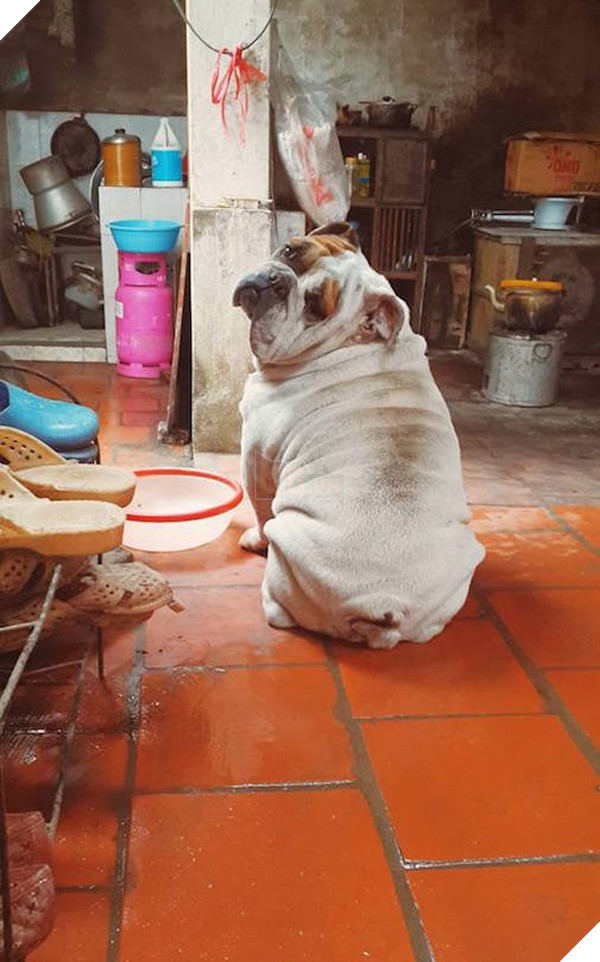 "Đây, ngó cái mặt nam chính như vầy còn muốn dìm nữa không? Nữa chứ gì?!"