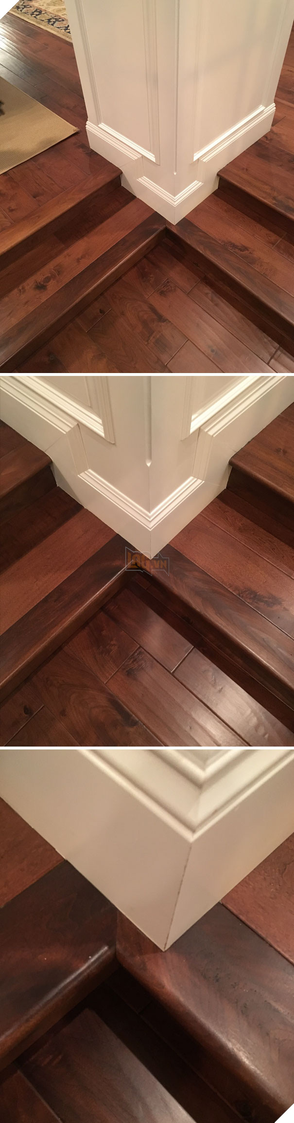  Vui Những hình ảnh gây nên sự khó chịu tột cùng nhưng đã xem là không thể rời mắt 5