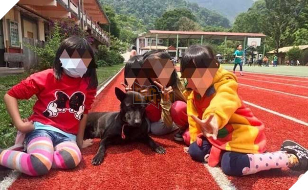 chú chó nổi tiếng lầy lội vì đến lớp học ké