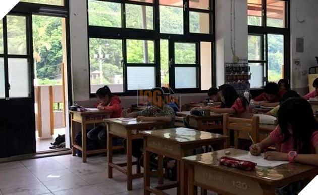 chú chó nổi tiếng lầy lội vì đến lớp học ké