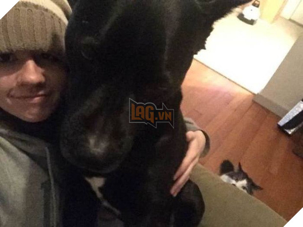 16 minh chứng cho thấy chó là loài nhát gan thì không ai bằng - Ảnh 13.