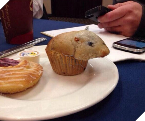  Vui Những hình ảnh gây nên sự khó chịu tột cùng nhưng đã xem là không thể rời mắt 13