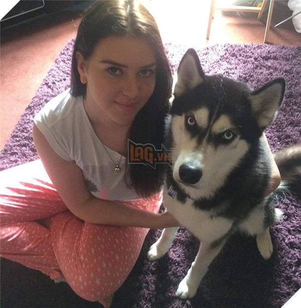 Em Husky nổi với vẻ mặt bị phản bội kiếm gần 600 triệu học phí cho chủ