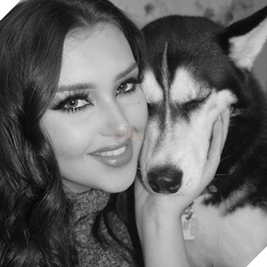 Em Husky nổi với vẻ mặt bị phản bội kiếm gần 600 triệu học phí cho chủ