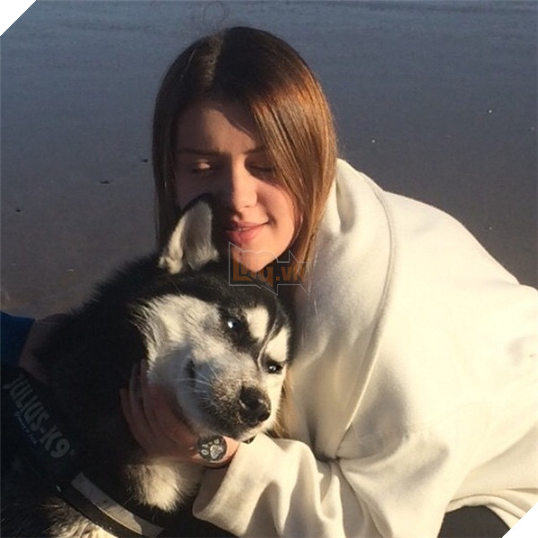 Em Husky nổi với vẻ mặt bị phản bội kiếm gần 600 triệu học phí cho chủ