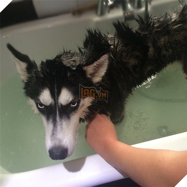 Tuy nhiên khi tắm thì Anuko cũng hiện nguyên hình.