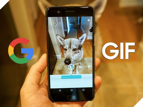 Motion Stills - Ứng dụng ghép ảnh GIF siêu nhanh do Google phát triển