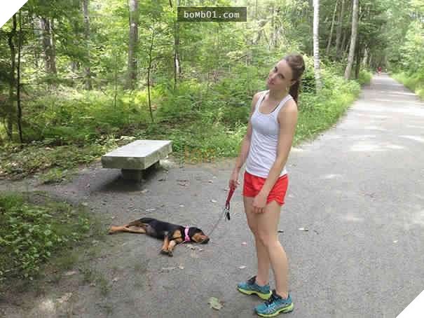 26 cún con lăn đùng ra ngủ quá đáng yêu, chủ nhân không nỡ đánh thức, #1 kiểu ‘gà quay’ 27