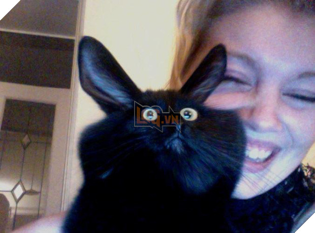 20 boss mèo bỗng tỏ ra bất bình thường như có vấn đề về thần kinh - Ảnh 29.