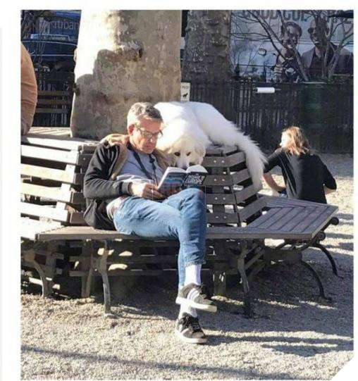 12 bức ảnh ấm áp khi nuôi thú cưng, #6 đáng yêu đến mức khiến chủ nhân muốn… xỉu 5