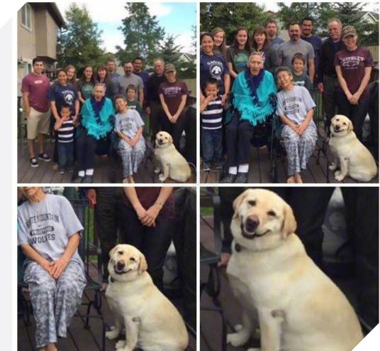 12 bức ảnh ấm áp khi nuôi thú cưng, #6 đáng yêu đến mức khiến chủ nhân muốn… xỉu 10