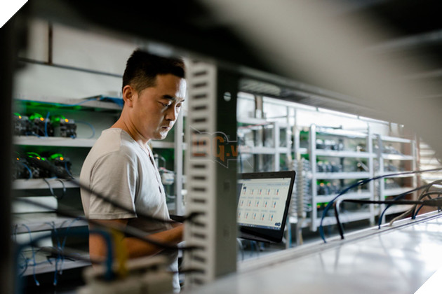 
Nhân viên bảo trì đang kiểm tra các cỗ máy đào bitcoin
