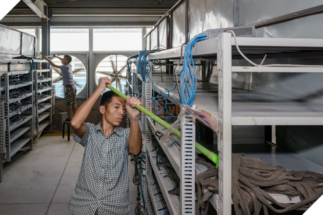 
Các công nhân đang vệ sinh những kệ gắn máy đào bitcoin
