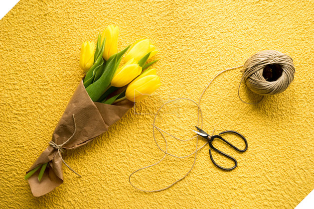 Ở Nhật, màu vàng biểu tượng cho lòng dũng cảm, giàu có và vẻ tao nhã.
 
