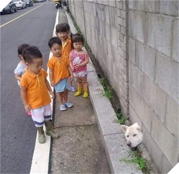 Phát hiện tên trộm đang cố gắng tẩu thoát nhưng bị kẹt đầu.