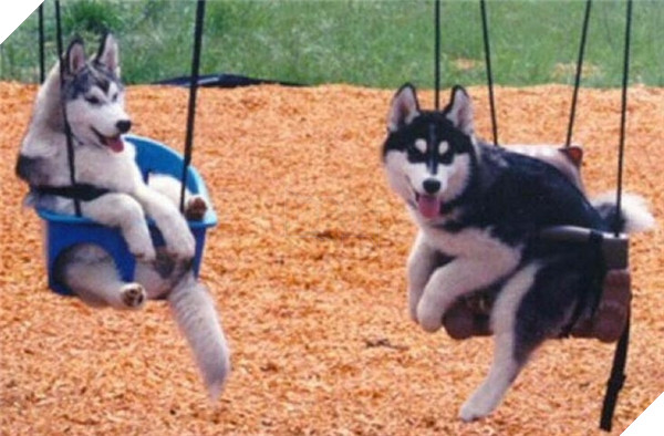 Có 2 thằng nhóc chạy về mách mẹ bị bọn đầu gấu bắt nạt giành xích đu. Người mẹ tức tốc chạy ra chỗ xích đu rồi lẳng lặng quay về không nói một lời.