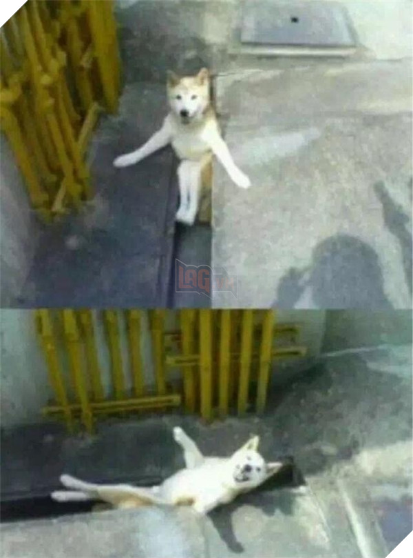 Làm thế nào để khỏi quê độ nếu bị kẹt đít?