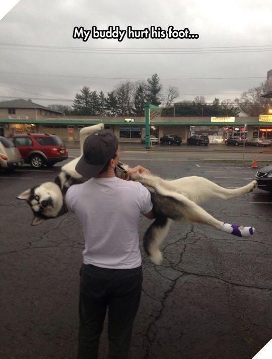 Chân đau quá đi hổng có nổi.