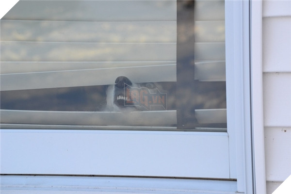 Mị còn trẻ, Mị muốn đi chơi!