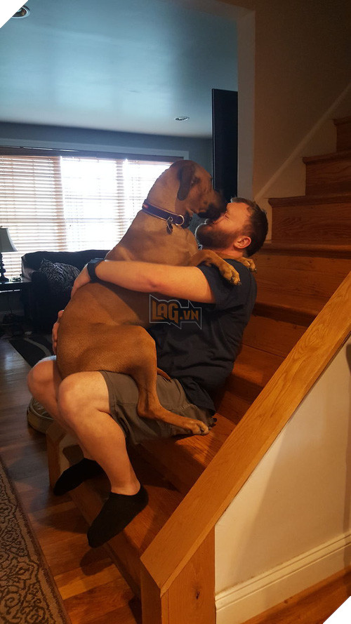 Chân dung 15 chú chó lớn tướng nhưng cứ nghĩ mình vẫn còn là cún cưng bé bỏng - Ảnh 21.