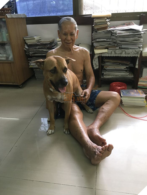 Chân dung 15 chú chó lớn tướng nhưng cứ nghĩ mình vẫn còn là cún cưng bé bỏng - Ảnh 29.