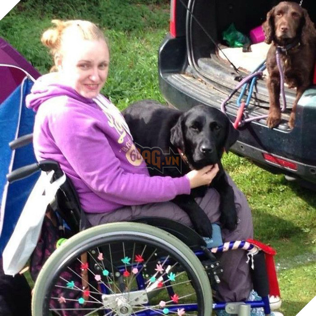 Chân dung 15 chú chó lớn tướng nhưng cứ nghĩ mình vẫn còn là cún cưng bé bỏng - Ảnh 25.