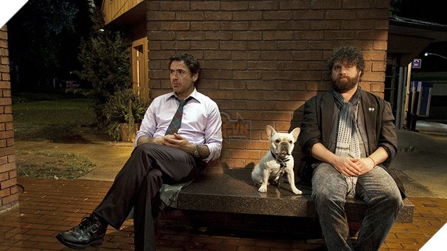 Những cặp đôi “bất đắc dĩ” trên màn ảnh rộng 10