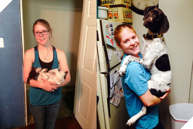 21 chú chó dù to xác nhưng lại có tâm hồn mong manh dễ vỡ - Ảnh 37.