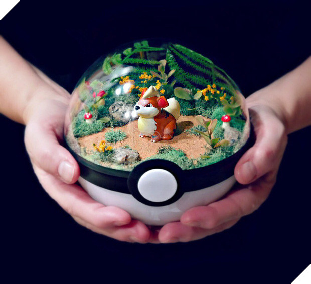 Những khu vườn Pokeball nhỏ xinh trong lòng bàn tay khiến fan hâm mộ Pokemon phát cuồng - Ảnh 1.