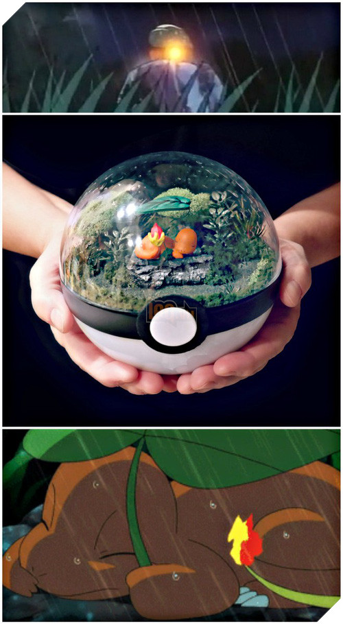 Những khu vườn Pokeball nhỏ xinh trong lòng bàn tay khiến fan hâm mộ Pokemon phát cuồng - Ảnh 13.