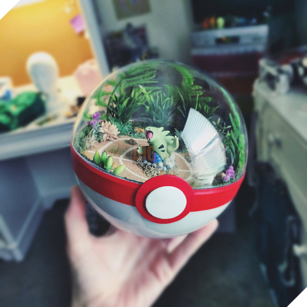 Những khu vườn Pokeball nhỏ xinh trong lòng bàn tay khiến fan hâm mộ Pokemon phát cuồng - Ảnh 21.