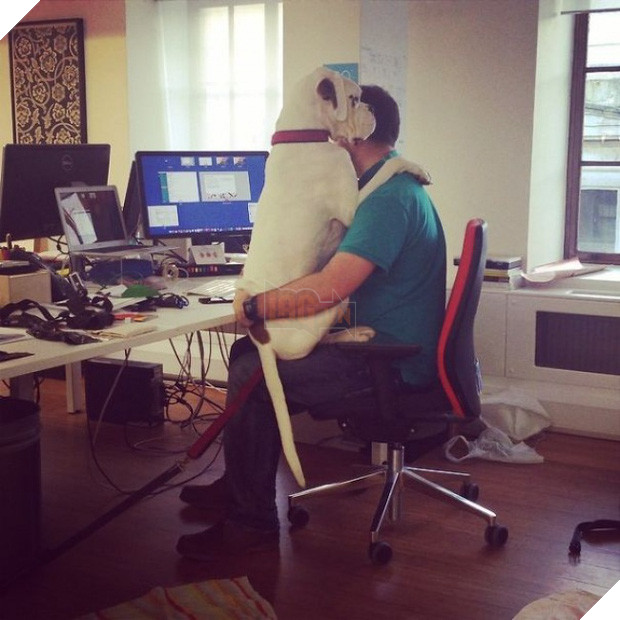 Cười đau cả bụng với 22 boss chó mèo hâm hết phần thiên hạ - Ảnh 35.