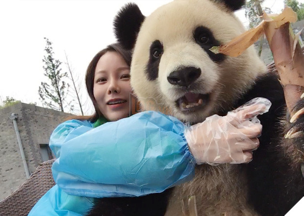 Chú gấu trúc thích chụp selfie nhất thế giới sẽ khiến bạn yêu ngay từ cái nhìn đầu tiên - Ảnh 10.