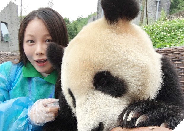 Chú gấu trúc thích chụp selfie nhất thế giới sẽ khiến bạn yêu ngay từ cái nhìn đầu tiên - Ảnh 6.