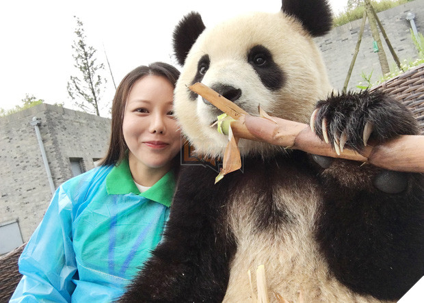 Chú gấu trúc thích chụp selfie nhất thế giới sẽ khiến bạn yêu ngay từ cái nhìn đầu tiên - Ảnh 9.