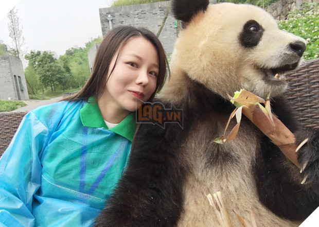 Chú gấu trúc thích chụp selfie nhất thế giới sẽ khiến bạn yêu ngay từ cái nhìn đầu tiên - Ảnh 8.