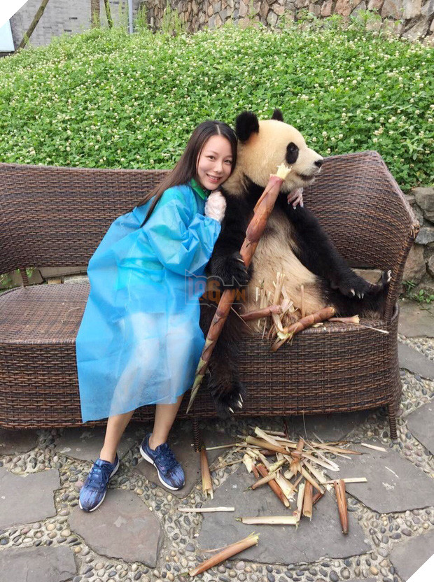 Chú gấu trúc thích chụp selfie nhất thế giới sẽ khiến bạn yêu ngay từ cái nhìn đầu tiên - Ảnh 2.