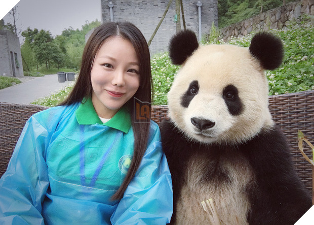 Chú gấu trúc thích chụp selfie nhất thế giới sẽ khiến bạn yêu ngay từ cái nhìn đầu tiên - Ảnh 12.