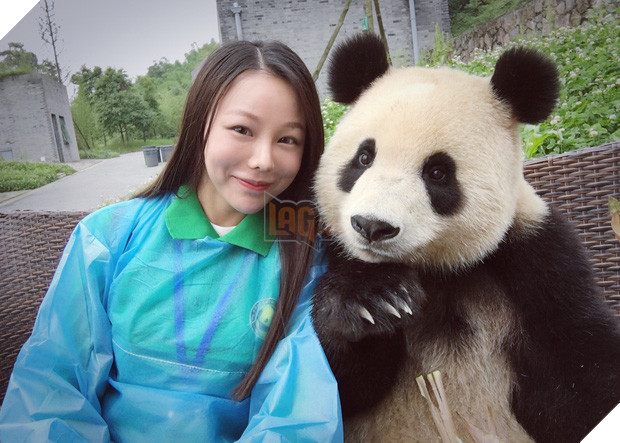 Chú gấu trúc thích chụp selfie nhất thế giới sẽ khiến bạn yêu ngay từ cái nhìn đầu tiên - Ảnh 3.