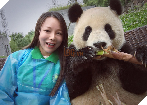 Chú gấu trúc thích chụp selfie nhất thế giới sẽ khiến bạn yêu ngay từ cái nhìn đầu tiên - Ảnh 5.