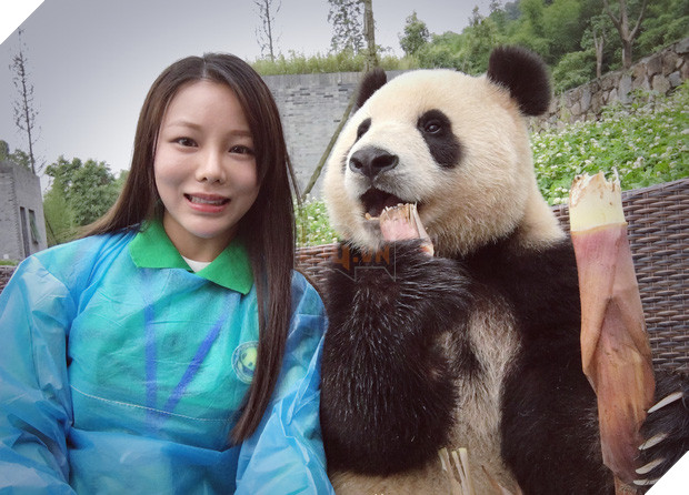 Chú gấu trúc thích chụp selfie nhất thế giới sẽ khiến bạn yêu ngay từ cái nhìn đầu tiên - Ảnh 7.