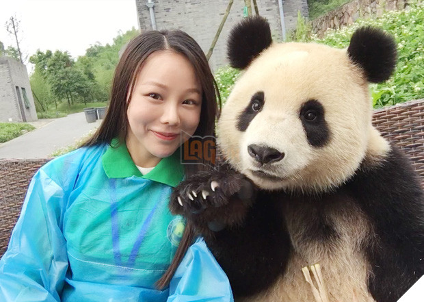 Chú gấu trúc thích chụp selfie nhất thế giới sẽ khiến bạn yêu ngay từ cái nhìn đầu tiên - Ảnh 1.