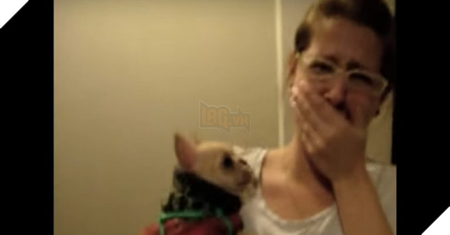 Untitled-design-8-768x402