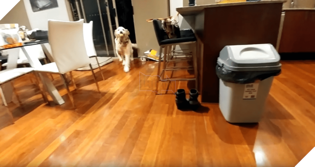 Lần đầu gặp mặt, ‘vàng lớn’ ra dáng anh trai yêu thương ‘vàng nhỏ’, dân mạng xuýt xoa: Đáng yêu quá 3