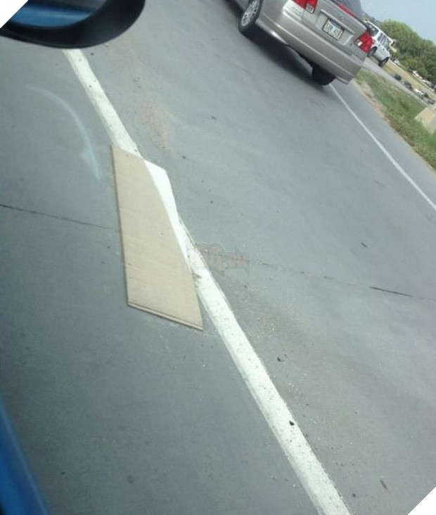 16 khoảnh khắc làm biếng không thể tin nổi của những kẻ lười - Ảnh 3.