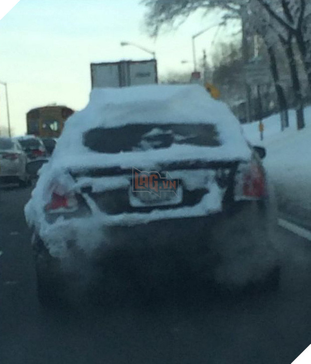 16 khoảnh khắc làm biếng không thể tin nổi của những kẻ lười - Ảnh 5.