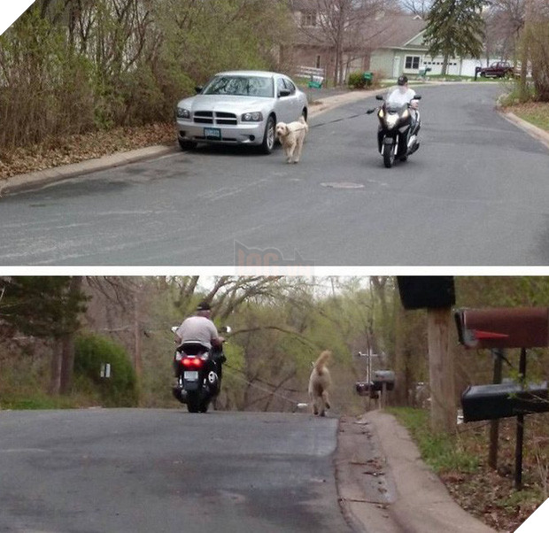 16 khoảnh khắc làm biếng không thể tin nổi của những kẻ lười - Ảnh 7.