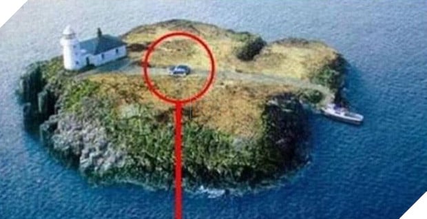 16 khoảnh khắc làm biếng không thể tin nổi của những kẻ lười - Ảnh 15.